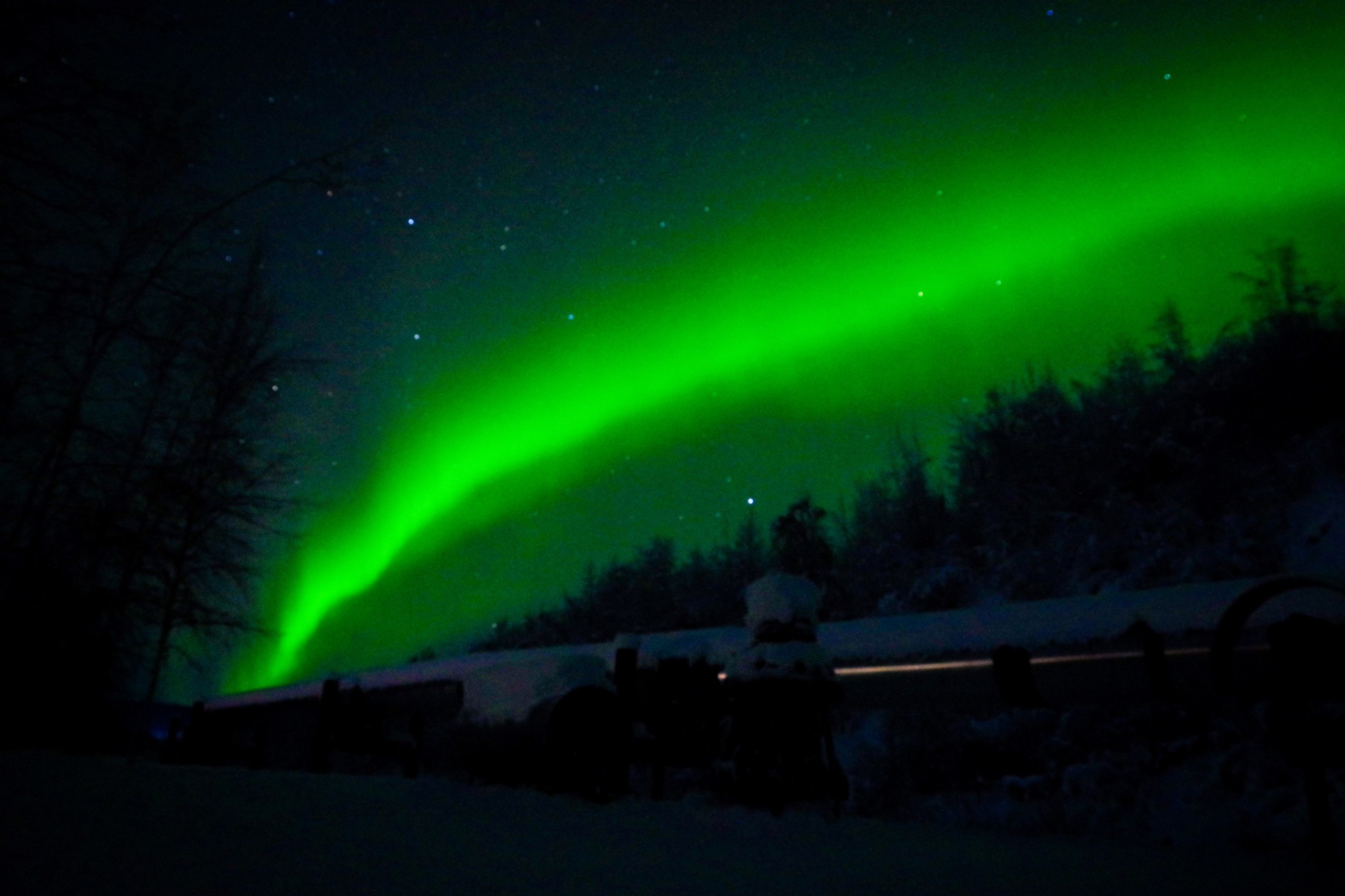 Green aurora borealis over a snowy landscape