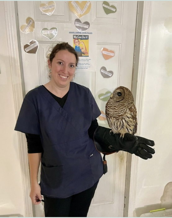 Shea holding a barred owl named Tappy on a gloved forearm